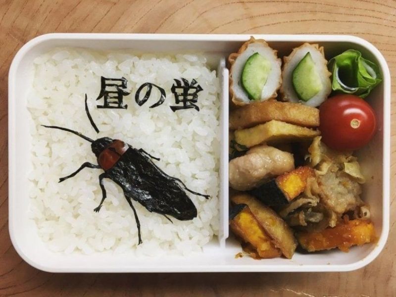 cơm bento hiru no hotaru cơm bento hiru no hotaru